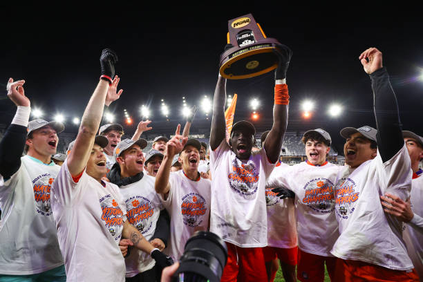 这是蒙托利 这是蒙托利